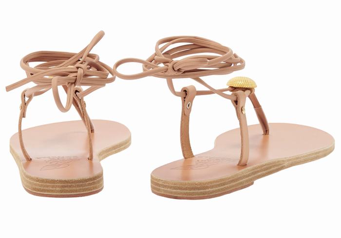 Sandales De Gladiateur Ancient Greek Sandals Persephone   | NKN-0525970